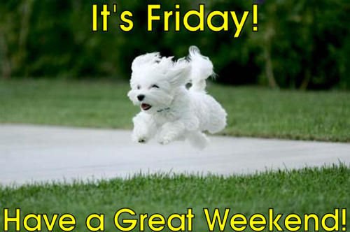 have a great weekend puppy